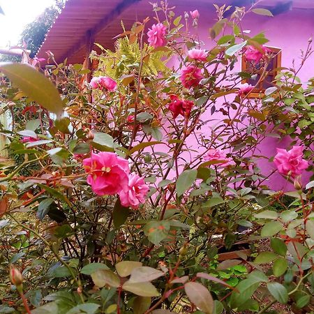 Villa Agape - Chapada Dos Veadeiros Alto Paraíso de Goiás Dış mekan fotoğraf