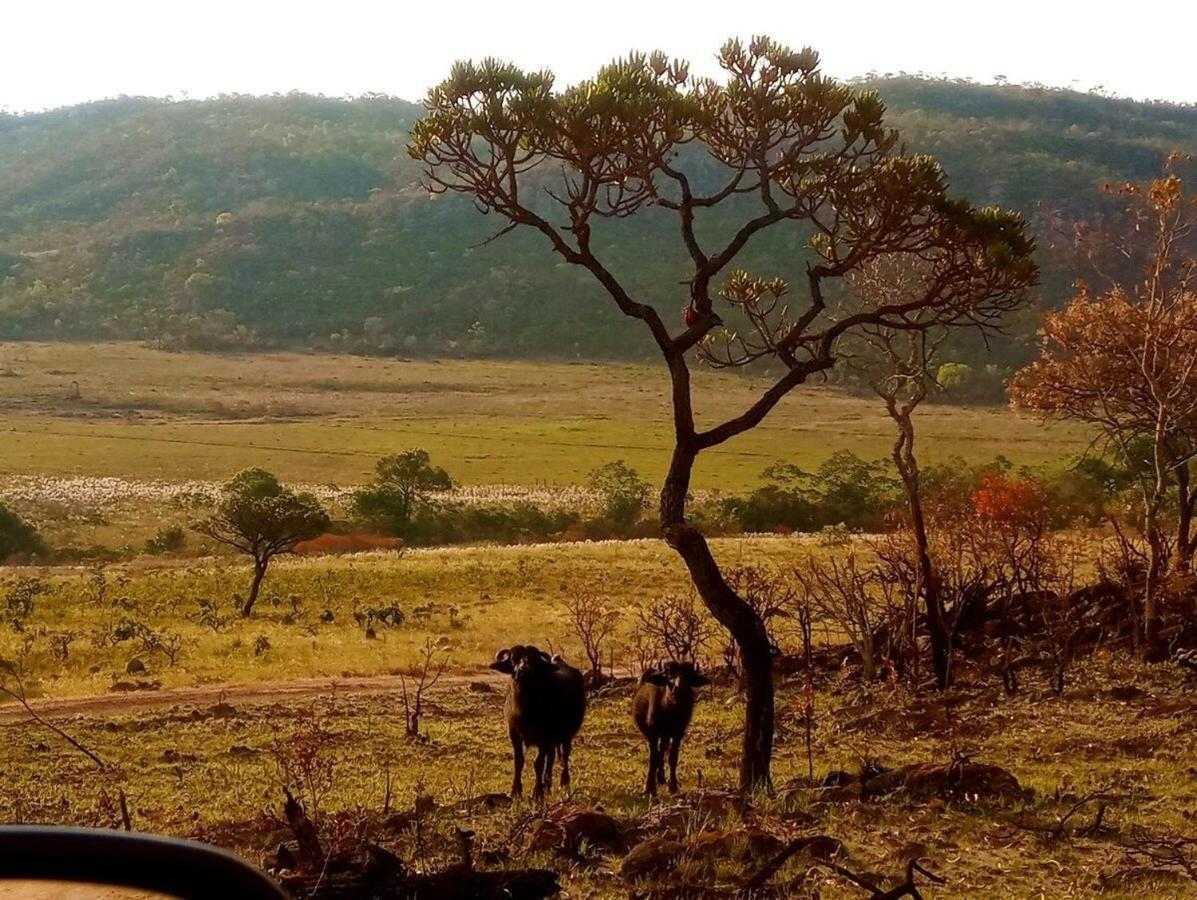 Villa Agape - Chapada Dos Veadeiros Alto Paraíso de Goiás Dış mekan fotoğraf