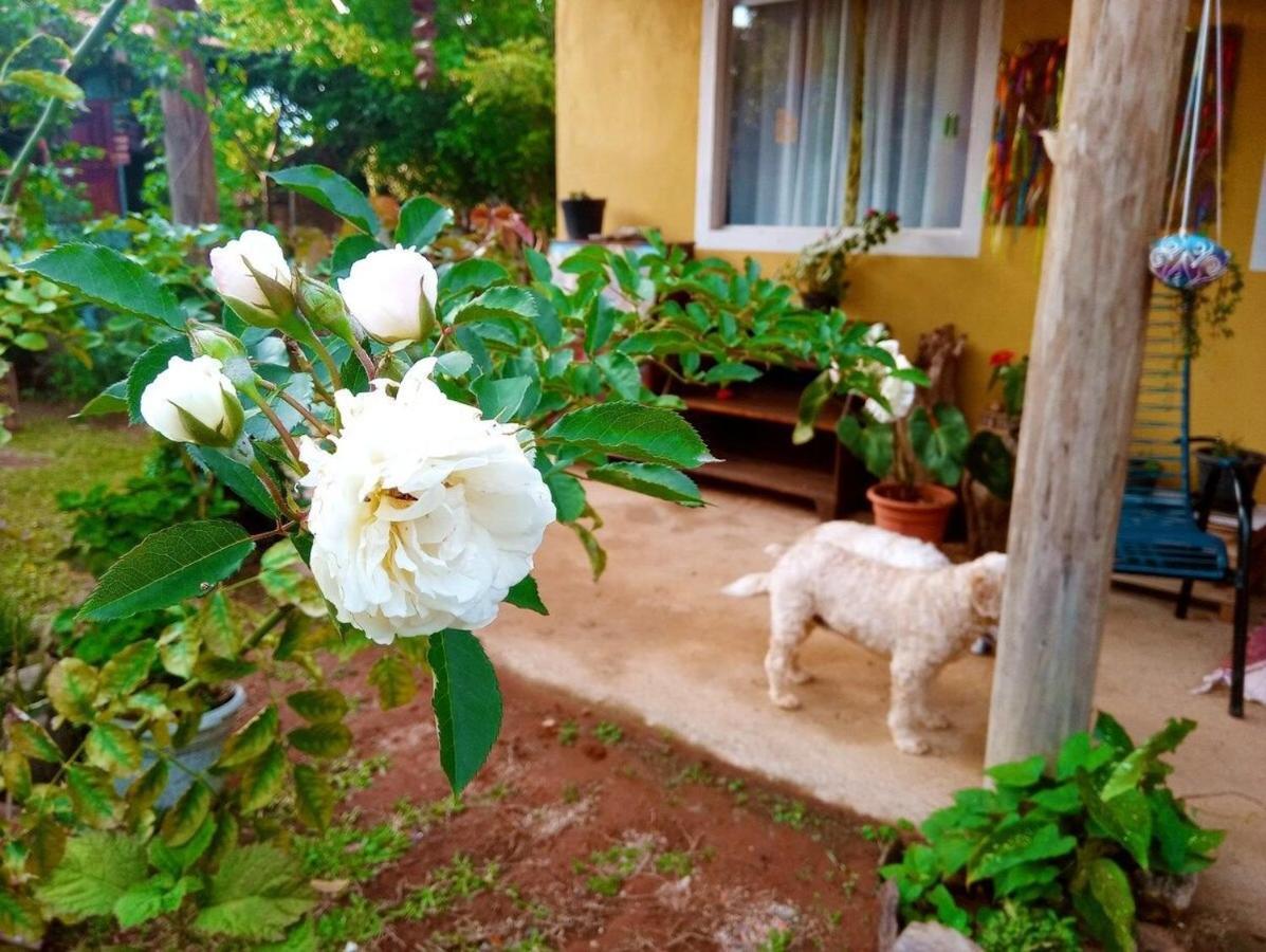 Villa Agape - Chapada Dos Veadeiros Alto Paraíso de Goiás Dış mekan fotoğraf