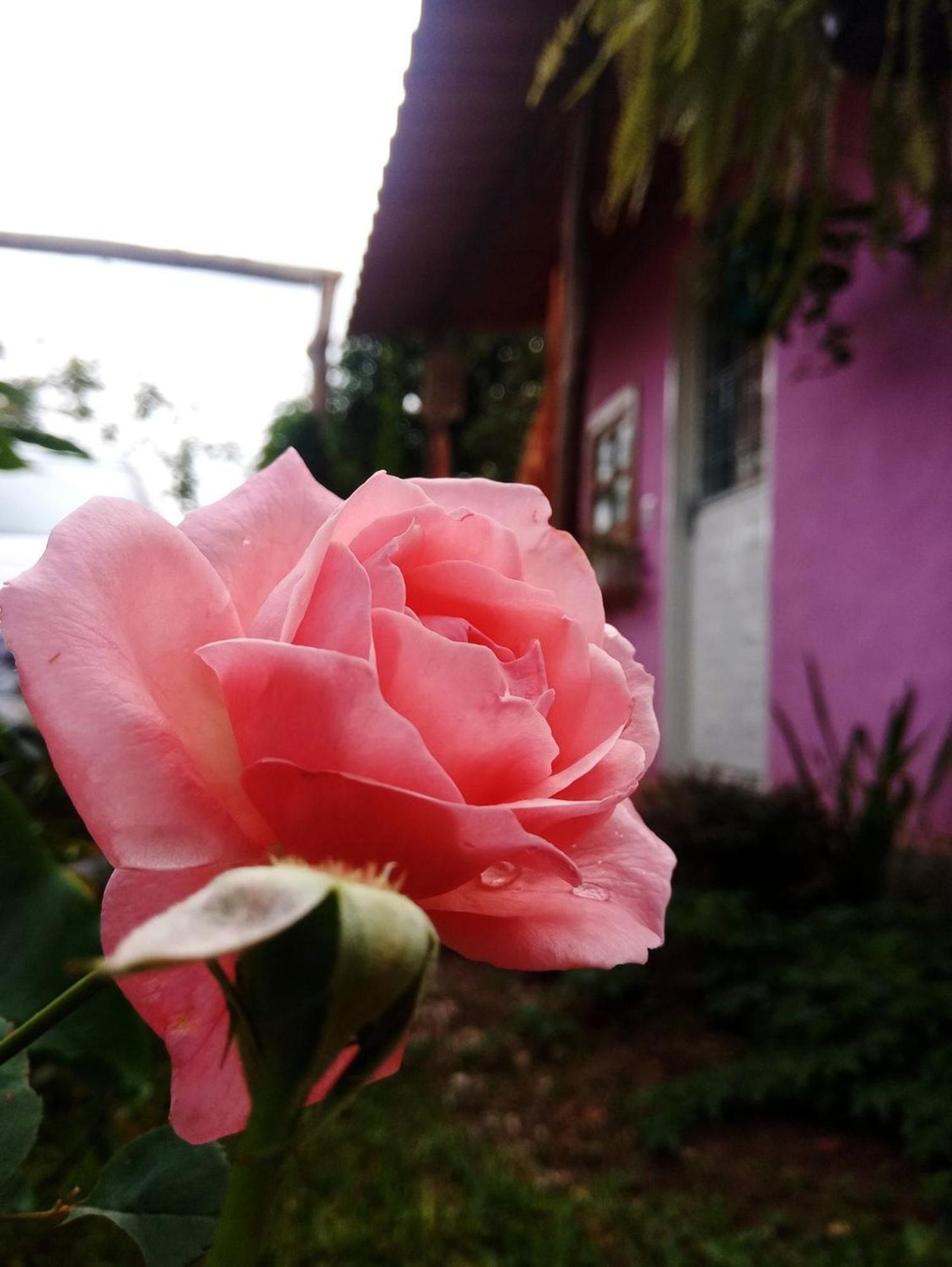 Villa Agape - Chapada Dos Veadeiros Alto Paraíso de Goiás Dış mekan fotoğraf